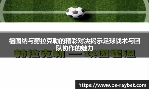 雷竞技ray官网
