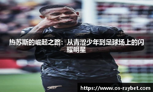 雷竞技ray官网